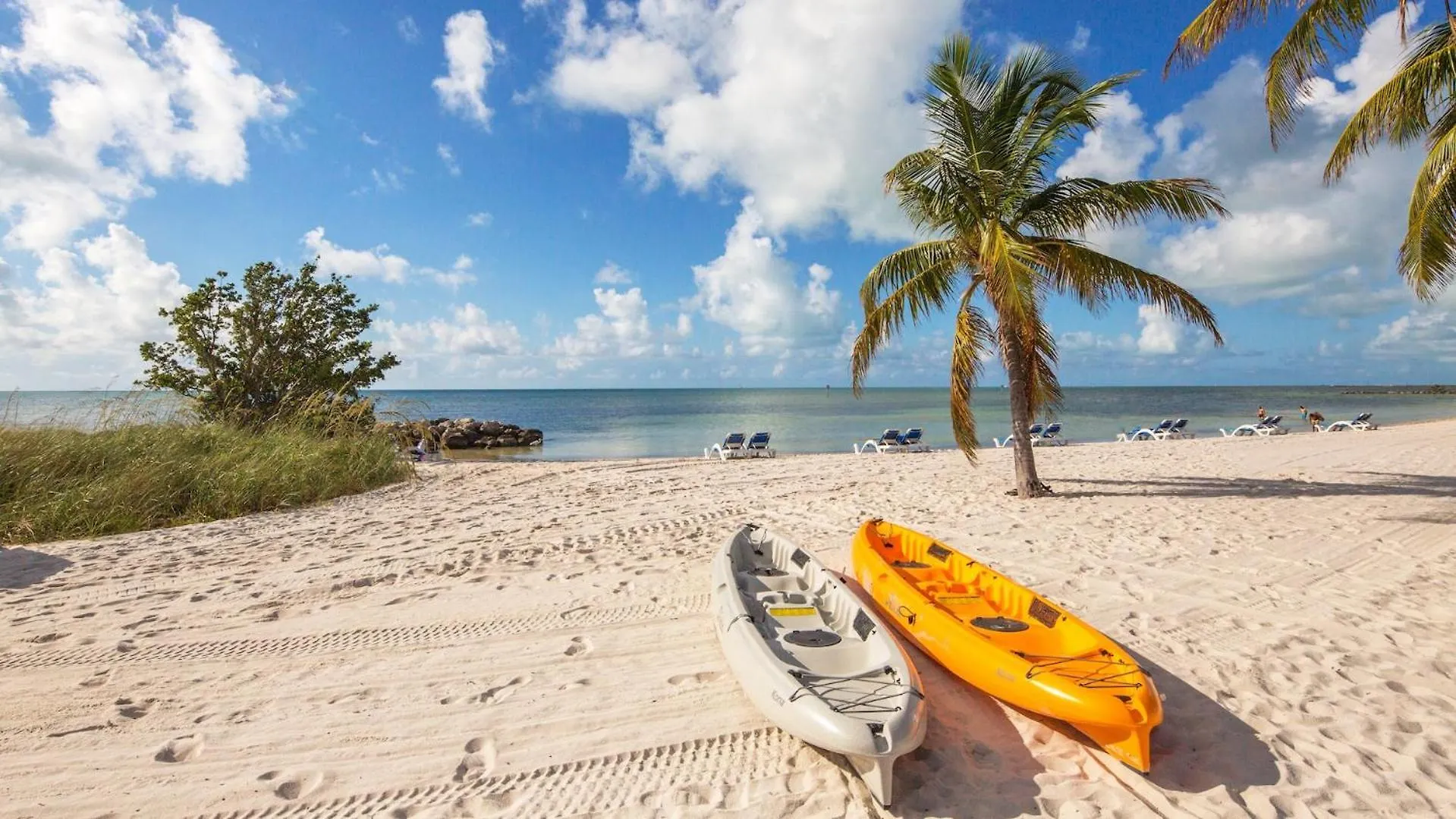 Driftwood Dreams By Last Key Realty Key West 0*,