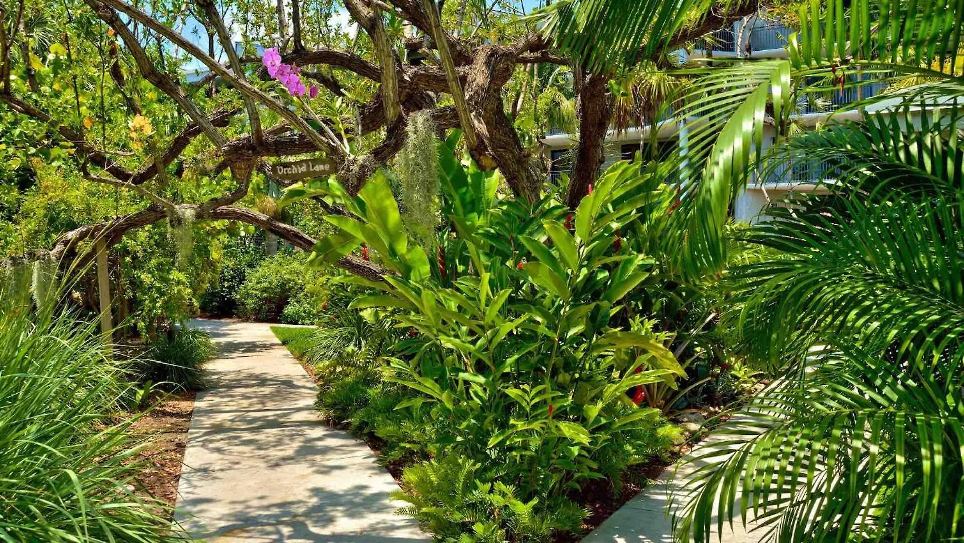 Driftwood Dreams By Last Key Realty Key West Holiday home