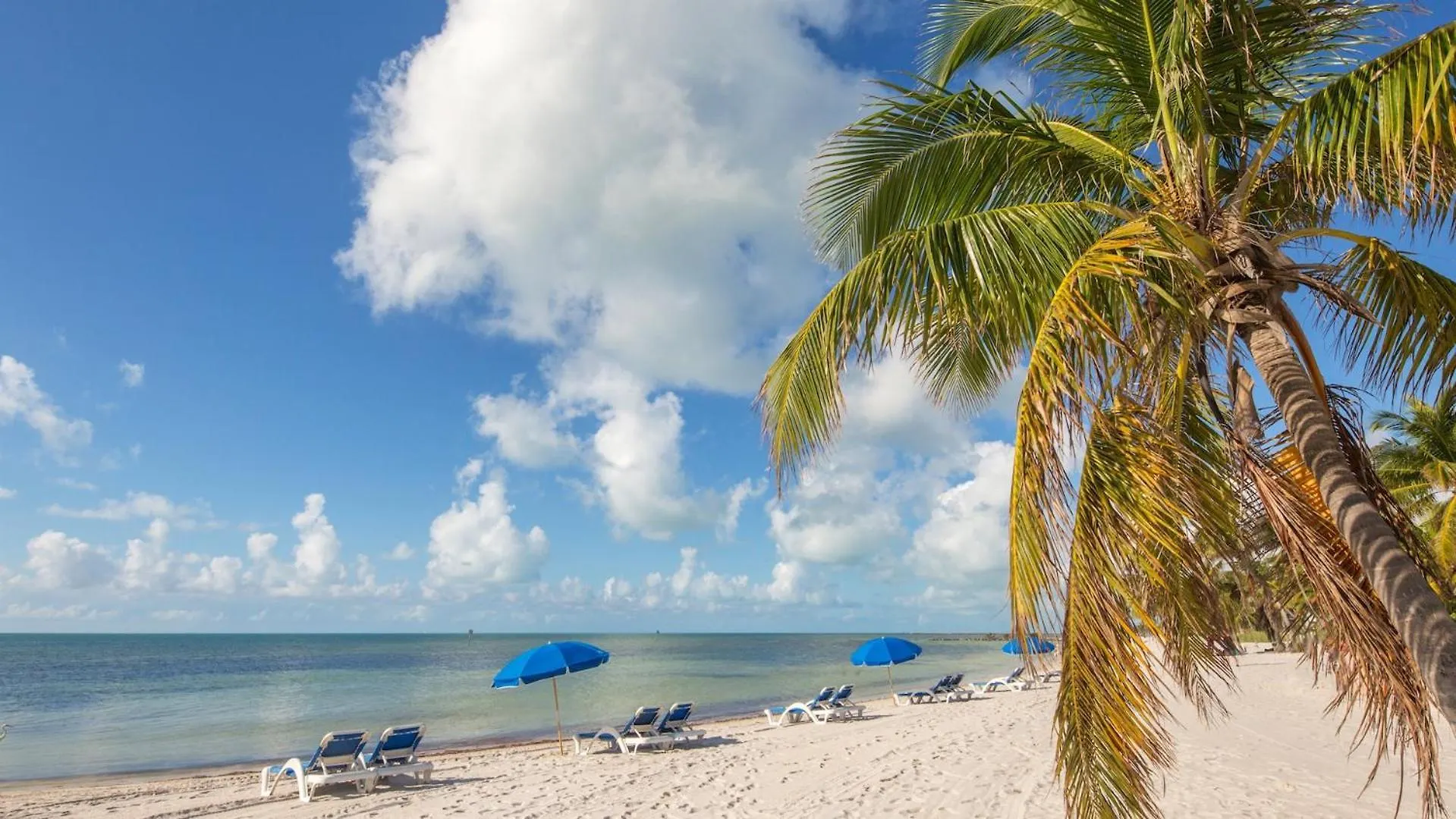 Holiday home Driftwood Dreams By Last Key Realty Key West United States