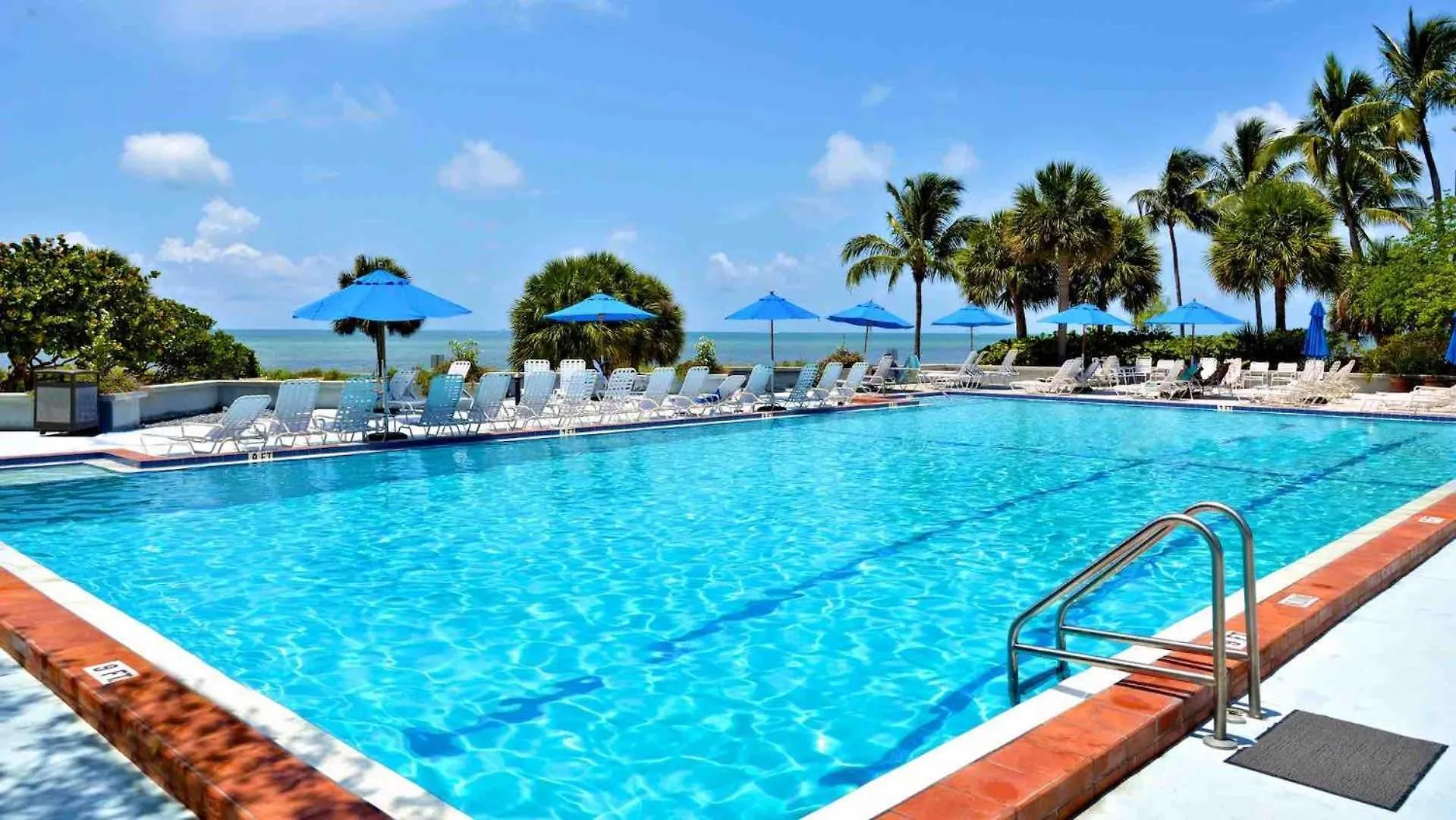 Driftwood Dreams By Last Key Realty Key West